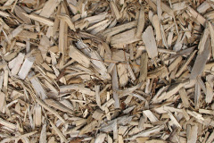 biomass boilers Slackhead
