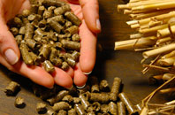 free Slackhead biomass boiler quotes